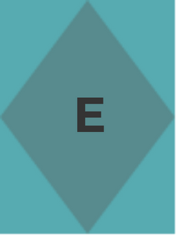 Extraversion (E)